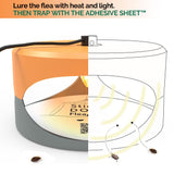 Orange and Light Gray Aspectek Sticky Dome Flea Trap with 2 Sticky Discs. Odorless Insect Traps, Effective for Indoor Use - 2 Pack