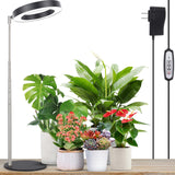 LORDEM Grow Light, LED Plant Light for Indoor Plants Growing, Full Spectrum Desk Growth Lamp with Automatic Timer for 4H/8H/12H, 4 Dimmable Levels, Height Adjustable 9.8"-30.6", Black