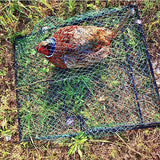 DSQSTMR Bird Trap Pigeon Quail Cage Live Animal Control Spring Starling Chicken Snares for Trapping