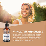 Vimergy USDA Organic Atlantic Dulse Extract, 55 Servings – Raw Liquid Seaweed Dulse Supplement Drops - Alcohol-Free, Vegan & Paleo Friendly (55 ml)