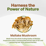 Maitake Mushroom Extract Powder by Go Nutra 8 oz | Grifola Frondosa 30% Polysaccharides | Maitake King of Mushrooms