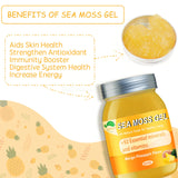 VPKIN Sea Moss Gel,Irish Sea Moss Raw Organic,Sea Moss Supplement Advanced for Immune & Metabolism Support(Mango Pineapple,18.5OZ)