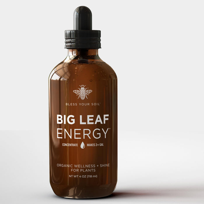 Big Leaf Energy : Refill : Plant Wellness : 100% Organic Cold Pressed Neem + Essential Oils (4 OZ, Makes up to 4 gallons)