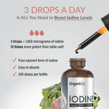 Organixx Pure Liquid Iodine Supplement, Support Healthy Thyroid Function, Restore Optimal Iodine Levels, Boost Mood & Energy Levels, Improve Hair and Skin, Organic Iodine Drops, Vegan, 1 fl oz