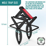 LETYANGER 2024 2 Pcs Mole Traps, Black Galvanized Steel Scissor Trap, Reusable Mole Gopher Traps, Mole Killer, Galvanized Steel Mole Scissor Trap, Ground Mole Trap for Lawns