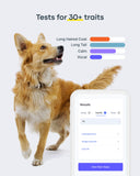 Basepaws Dog DNA Test: Comprehensive Breed, Trait, & Most Accurate Genetic Health Screening for Dogs - Reveal Over 300+ Breeds, 280+ Health Risks, and 30+ Traits