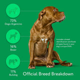 Dna My Dog Essential Test –Breed ID Test Mixed Breed Identification, Personality Traits, for Puppies to Adult Dogs, Non-Invasive Cheek Swab