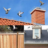 aushucu Bird Spikes Cover 11Feet Stainless Steel Pigeons Spikes Small Bird Spikes for Roof Fence Window Mailbox(11Feet)