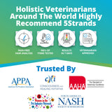 5Strands Pet Food & Environmental Intolerance Test for Dogs & Cats, Nutrition & Metals and Minerals Imbalances - at Home Sensitivity Testing, 481 Items, Results in 5 Days, All Ages and Breeds