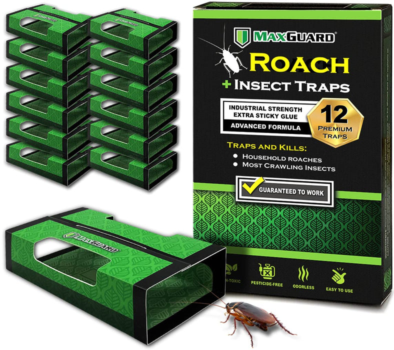 MaxGuard Roach + Spider Traps (12 Box Traps) | Non-Toxic Extra Sticky Box Traps | Trap and Kill German Cockroach, American, and Oriental Roaches Plus Crawling Bugs & Insects House |