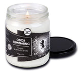 Vetiver Odor Eliminating Highly Fragranced Candle - Eliminates 95% of Pet, Smoke, Food, and Other Smells Quickly - Up to 80 Hour Burn time - 12 Ounce Premium Soy Blend