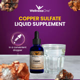 WellnessOne Liquid Copper Supplements - Immune Support Copper Sulfate Also Great for Joint, Nerve & Bone Health - Copper Supplement Drops Maximizes Iron Absorption for Kids, Men & Women - 1.67 fl oz