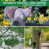 SUAVEC Squirrel Repellent Outdoor, Peppermint Chipmunk Repellent, Squirrel Deterrent for Plants, Squirrel Repellents for Attic, Outdoor Squirrels Repellent for Garden, Chipmunk Repellent Outdoor-4P