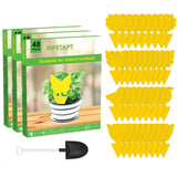 144 Pack Fruit Fly Traps Fungus Gnat Traps Yellow Sticky Bug Traps,Non-Toxic and Odorless for Indoor Outdoor Use Protect The Plant