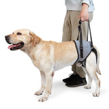 Dotoner Dog Sling for Large Dogs Hind Leg Support to Help Rehabilitate The Hind Limbs of Elderly Dogs with Weak Hind Legs Disabilities and Injuries Dog Harness Helps Arthritis ACL Recovery (M, Grey)