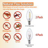 Flea Traps for Inside Your Home, Flea Killer Trap Indoor Natural Safe Pest Control Trapper House Sticky Insect Killer with Light & Switch, Bed Bug Trap Safe for Kid & Pet, 2 Packs Pumpkin