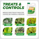 Earth's Ally Disease Control Concentrate for Plants | Fungicide Treatment for Powdery Mildew, Blight, Black Spot, Fungus - Use on Plant & Rose Diseases & More, 32oz