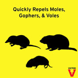 Victor M8002 Mole & Gopher Repellent Yard Spray – 1 Bottle, 6 Count (Pack of 1), Yellow