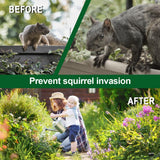 TSCTBA Squirrel Repellent Outdoor, Chipmunk Repellent Outdoor, Squirrel Repellent for Attic and Cars Engines, Ultra Powerful Squirrel Deterrent, Squirrel Repellent for Bird Feeders and Garden-12P