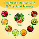 softbear Sea Moss Gel Organic Raw 18 OZ Wildcrafted Irish Sea Moss Gel Rich in 92 Vitamins & Minerals for Immune Digestive Support Vegan Superfood Sea Moss Supplement Pineapple Flavor