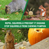 SUAVEC Squirrel Repellent Outdoor, Peppermint Chipmunk Repellent, Squirrel Deterrent for Plants, Squirrel Repellents for Attic, Outdoor Squirrels Repellent for Garden, Chipmunk Repellent Outdoor-4P