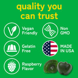 Kwala Nutrition Daily Super Greens Gummies with Spirulina to Boost Energy - 8 Blends with Chlorella, Veggies, Lions Mane, Ashwagandha - Vegetable Supplements for Adults - Vegan, Non-GMO