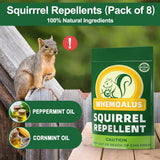 DALIYREPAL Squirrel Repellent Outdoor, Chipmunk Repellent Outdoor, Keep Squirrel Away, Outdoor Squirrels Repellent for Attic, Squirrels Repellent for Garden, Squirrel Deterrent Mint 8 Packs