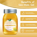 QANLOI Seamoss Raw Organic Gel,Organic Seamoss with Irish Sea Moss,Sea Moss Supplement-Immune Support-15OZ Sea Moss Advanced (Ashwagandha Mango)