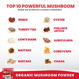 Organic Mushroom Powder Extract -Superfood 10 Supplement 14x Stronger 100% Pure USDA Immunity Booster- Reishi, Chaga, Cordyceps, Shiitake, Lions Mane, Turkey Tail and More. Add to Coffee/Tea 60 Grams