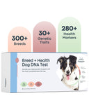 Basepaws Dog DNA Test: Comprehensive Breed, Trait, & Most Accurate Genetic Health Screening for Dogs - Reveal Over 300+ Breeds, 280+ Health Risks, and 30+ Traits