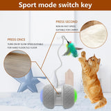 BENTOPAL Automatic Cat Toys Interactive Feather Toys, Pet Exercise Electric Toys for Indoor Cats/Kitten with Feather