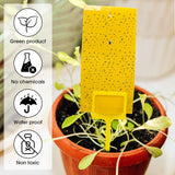 Double Sided Sticky Traps Gnat Killer for Flying Plant Insect Indoor Outdoor Such as Fungus Gnats, Whiteflies, Aphids, 7.9 x 4 Inches (Yellow, 550 Pcs)