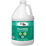 Organic Liquid Seaweed and Kelp Fertilizer Supplement by Bloom City Gallon, (128 oz) Concentrated Makes 750 Gallons