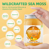 Sea Moss Gel Organic Raw 12oz, Wildcrafted Superfood Irish Seamoss Gel, Rich in 102 Vitamins & Minerals, Nutritional Supplement for Immune and Digestive Support, Mango Pineapple Flavored