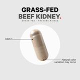 Codeage Grass Fed Beef Kidney Supplement - Freeze Dried, Non-Defatted, Desiccated Beef Kidney Glandulars Nutrition Bovine Pills – Pasture Raised Beef Vitamins For Kidney - Non-GMO -180 Capsules