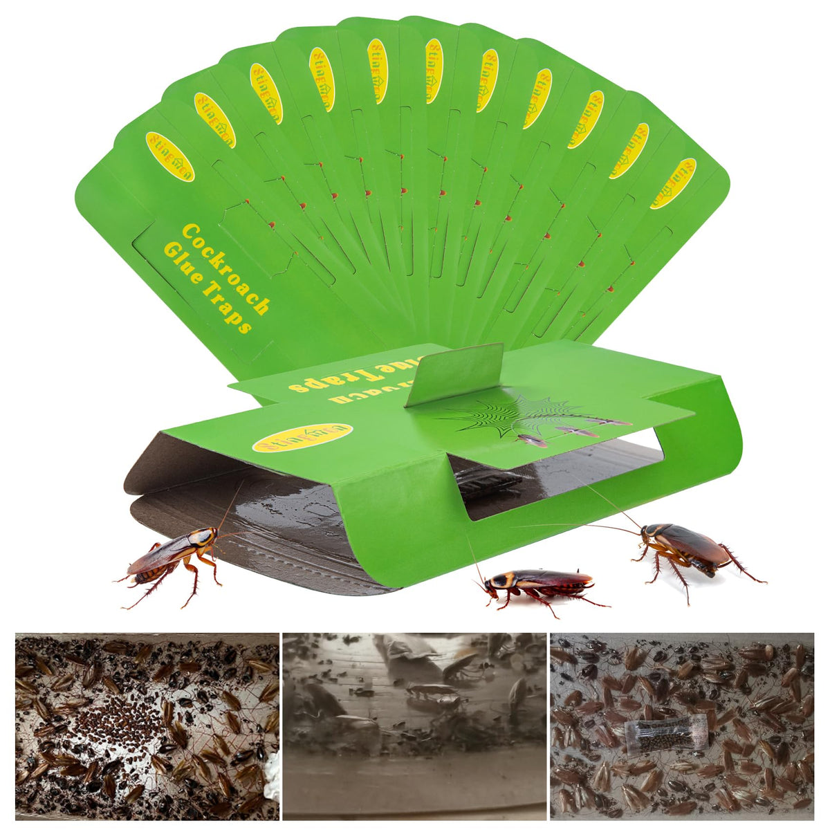 18 Pack Roach Traps Indoor Roach Killer Indoor Infestation, Cockroach