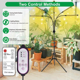 KEELIXIN Grow Lights for Indoor Plants,5 Heads Plant Lights for Indoor Plant,LED Full Spectrum Plant Lights,Adjustable Plant Grow Light,4/8/12H Timer,Warm White Grow Lamp for Various Plant