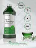 Chlorophyll Liquid Drops 100mg | 32 oz (2 x 16 oz Bottles) | Natural Peppermint Flavor | Vegetarian, Non-GMO, and Gluten Free Formula | by Horbaach