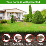 DALIYREPAL Mole Repellent,Vole Repellent Outdoor,Gopher Repellent, Mole Repellent for Lawns,8 Count Natural Gopher Repellent Keep Moles and Voles Out of Your Lawn and Garden, Safe Around Pet & Plant