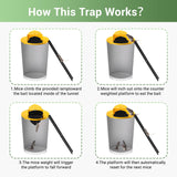 Mouse Trap Bucket Lid, Humane Non-Killer Mole Rat Traps，5 Gallon Bucket Compatible Auto Reset Mouse Trap, 2 Pack Reusable Mouse Trap Catch and Release for Indoor & Outdoor