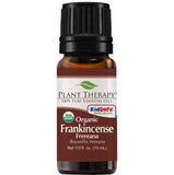 Plant Therapy Organic Frankincense Frereana Essential Oil 100% Pure, USDA Certified Organic, Undiluted, Natural Aromatherapy, Therapeutic Grade 10 mL (1/3 oz)