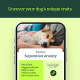 Know Your Pet DNA by Ancestry: Dog DNA Breed Identification Test, Genetic Traits, DNA Matches, Dog DNA Test