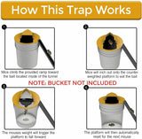 RinneTraps - Flip N Slide Bucket Lid Mouse Trap |Humane or Lethal| |Trap Door Style| |Multi Catch |Auto Reset| |Indoor Outdoor| |No See Kill| |5 Gallon Bucket Compatible| Made in USA (4)