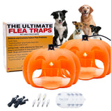 Flea Traps for Inside Your Home, Flea Killer Trap Indoor Natural Safe Pest Control Trapper House Sticky Insect Killer with Light & Switch, Bed Bug Trap Safe for Kid & Pet, 2 Packs Pumpkin