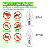 Flea Traps for Inside Your Home, Flea Killer Trap Indoor Natural Safe Pest Control Trapper House Sticky Insect Killer with Light & Switch Bed Bug Trap, Safe for Kid & Pet, 2 Packs Green