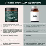 TRIBE ORGANICS Boswellia Serrata Complex Supplement for Joint Support, Muscle Relief - Vegetarian Non-GMO 120 Capsules, High Potency - Boswellin Super with Ginger Extract & Black Pepper - 420mg