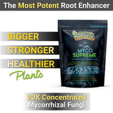 Mycorrhizal Fungi Root Enhancer for Plants - Bigger, Stronger, Healthier Roots, Use In Soil and Hydroponics - Super 20X Concentrated Mycorrhizae Inoculant Strain - Trifecta Myco Supreme (375 Grams / 13 OZ)