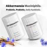 Codeage Akkermansia Muciniphila Probiotic Supplement - 3-Month Supply of Akkermansia Probiotic & Chicory Inulin - Daily Synbiotic Probiotic Chicory Root - 100 Million AFUs - Gluten-Free - 90 Capsules