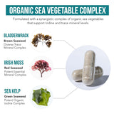 Organic Iodine Supplement from Sea Vegetable Complex, Whole Food & Raw Form - Iodine Plus Trace Mineral Complex – Contains Purest Icelandic Sea Kelp, Irish Moss & Bladderwrack (250 mcg)