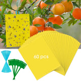 60 Pack Yellow Sticky Traps for Gnats Fruit Fly Traps for Indoors, Fungus Gnat Traps for House Indoor Fly Paper Indoor for Gnats Killer Indoor Trap